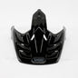 HORNET X2 VISOR BLACK
