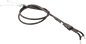 1fd1-6813b8d53cde6.png