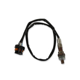 Replacement NTK Wideband Oxygen Sensor for C950 or Holley EFI