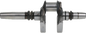 393d-6682b9df809da.png