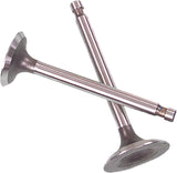Valve Set Trx300fw '88-00