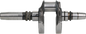 4416-6682b9cd356cf.png