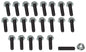Photo - Primary
