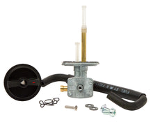 Load image into Gallery viewer, 5046-58c66efd5ca58.jpg