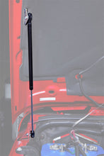 Load image into Gallery viewer, Photo - Mounted