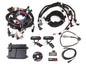 550-616small.jpg