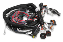 Load image into Gallery viewer, 558-107.jpg