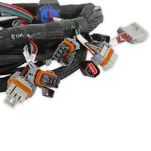Load image into Gallery viewer, 558-110_05.jpg