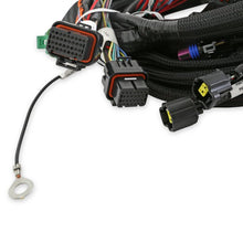 Load image into Gallery viewer, 558-110_06.jpg