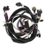 Used with 58x/4x Gen 4 LS with Terminator Throttle Body Fuel Injection