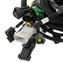 Load image into Gallery viewer, 558-113_06.jpg