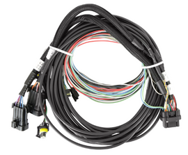 558-457_P01_TOP - 1.png