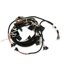 Load image into Gallery viewer, 558-503_03.jpg