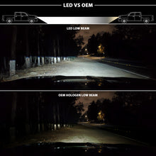Load image into Gallery viewer, Photo - Unmounted