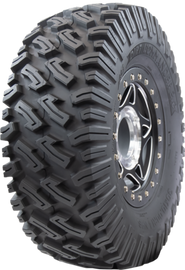 6f54-62db1d9cdf275.png