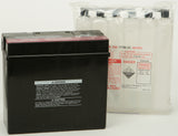 Battery Yt19bl-Bs Maintenance Free