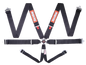 743003-primary.png