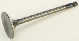 7f70-59d68c23443d3.jpg
