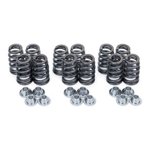 Load image into Gallery viewer, Valve Spring and Retainer Kit for Can-Am Maverick R
