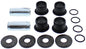 88ab-60103f96cb1bd.jpg