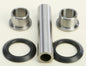 8c53-5a3abca473195.jpg