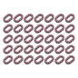 EVP Carbon Fiber Hull Washers for Sea-Doo Spark