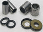 9cc8-572a5bdeb797b.jpg
