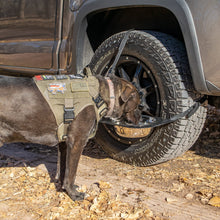 Load image into Gallery viewer, DRT BONZ Tire Mounted Dog Bowl Holder