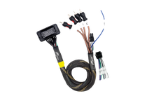 Load image into Gallery viewer, JBL® RCA Output Harness | UTVS-JBL-RC-RCA-OUT