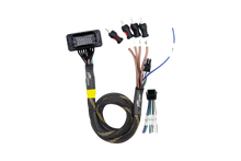 Load image into Gallery viewer, JBL® RCA Output Harness | UTVS-JBL-RC-RCA-OUT