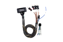 RZR® Pro Series Ride Command Front & Rear RCA Output + Speaker Wire & Remote | U