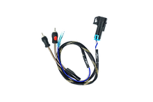 Load image into Gallery viewer, RZR® Pro Series Ride Command Subwoofer RCA Output Harness + Remote | UTVS-PRO-RC