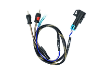 Load image into Gallery viewer, RZR® Pro Series Ride Command Subwoofer RCA Output Harness + Remote | UTVS-PRO-RC