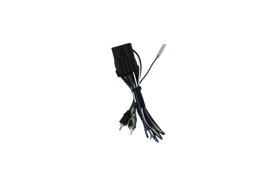 RZR® Ride Command Amplifier Harness + Remote | UTVS-RZR-RC-RCA-REM