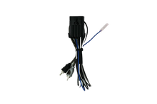 Load image into Gallery viewer, RZR® Ride Command Amplifier Harness + Remote | UTVS-RZR-RC-RCA-REM