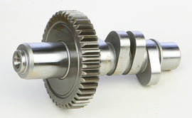 ba40-5885ce0138991.jpg