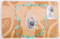 cfdc-5906e4eb86210.jpg