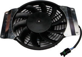 cff8-572a5a36c7ebe.jpg