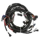 Holley EFI Gen V LT Engine Main Harness