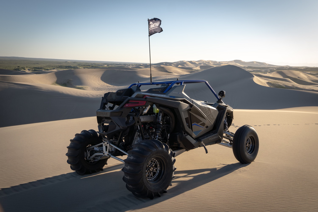 SS FAB POLARIS PRO R2 CAGE