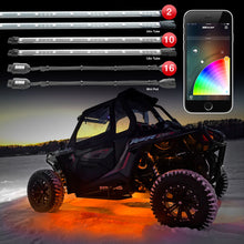 Load image into Gallery viewer, User 1
