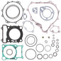 f75f-61e0b6336cabb.jpg