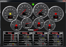 Load image into Gallery viewer, gauges.jpg