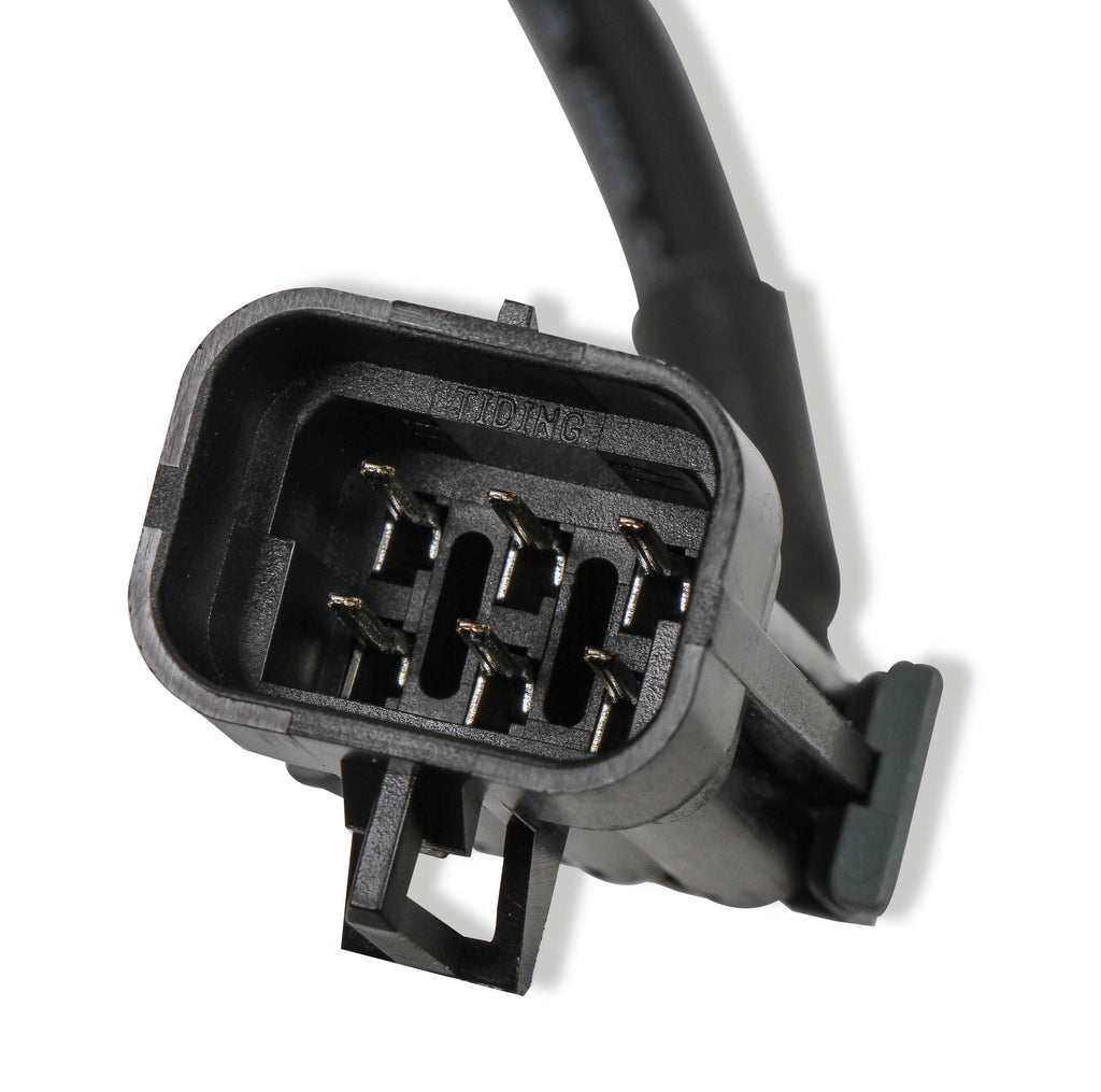 holleywb02plug_06.jpg
