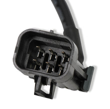 Load image into Gallery viewer, holleywb02plug_06.jpg