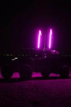 Load image into Gallery viewer, Pink