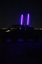 Load image into Gallery viewer, Purple