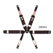 Load image into Gallery viewer, products-29829so.png
