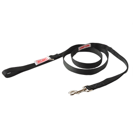products-simpsondogleash.png