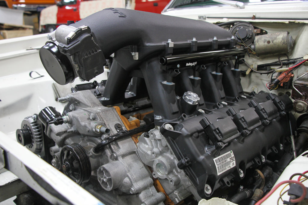 scamp_hi-ram_03.jpg